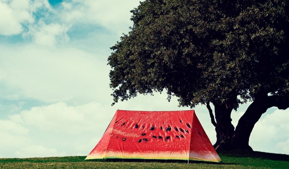 field_candy_art_tent