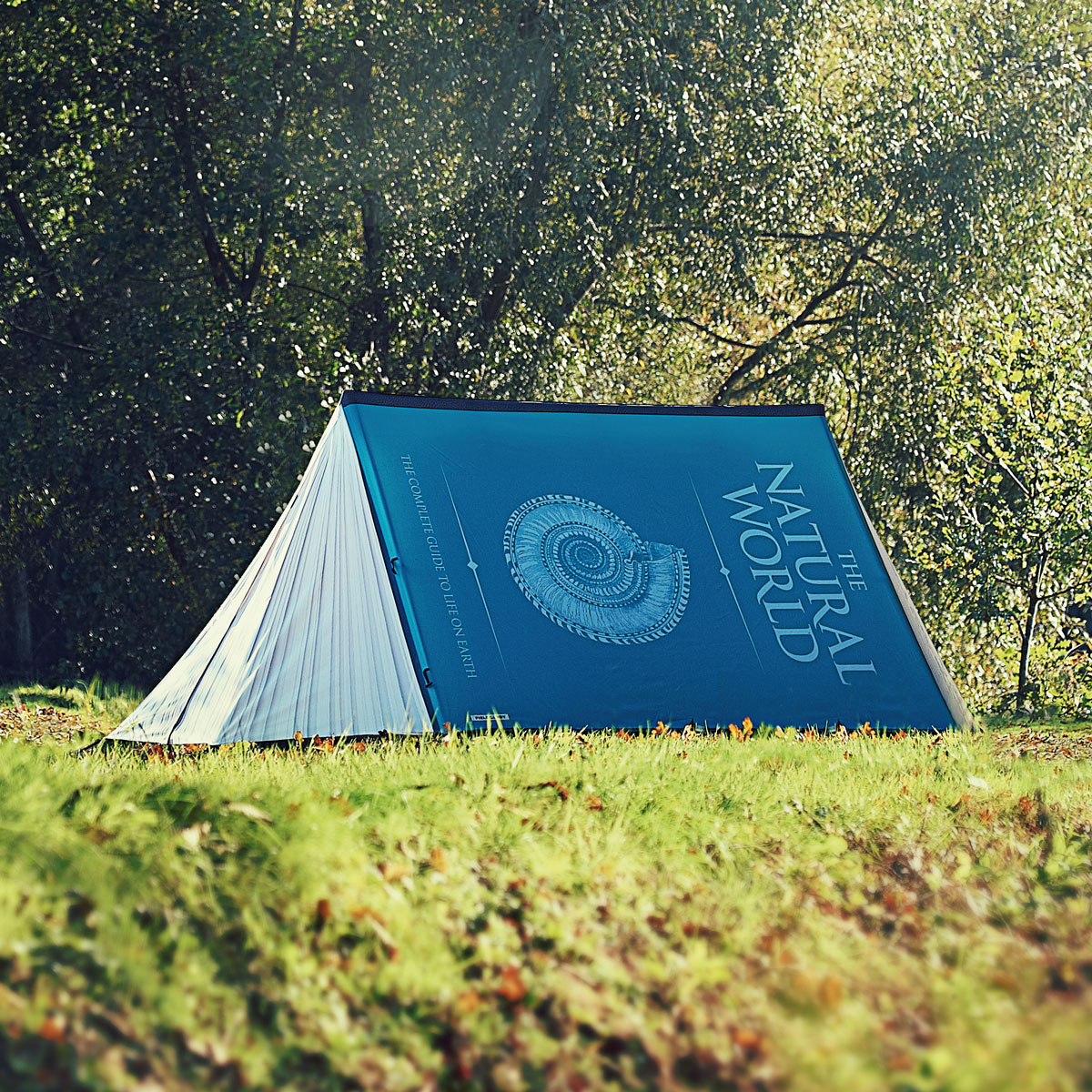 fieldcandy-creative-designer-tents-1